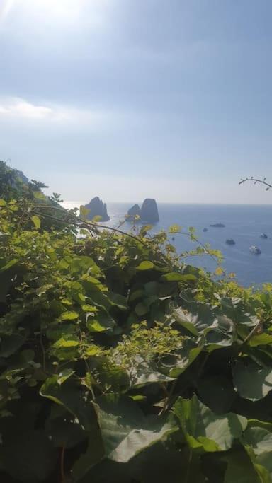 Willa Casa Al Mare Capri Zewnętrze zdjęcie